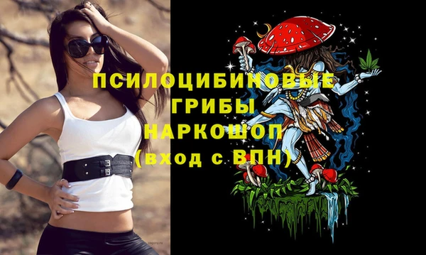 ГАЛЛЮЦИНОГЕННЫЕ ГРИБЫ Арсеньев