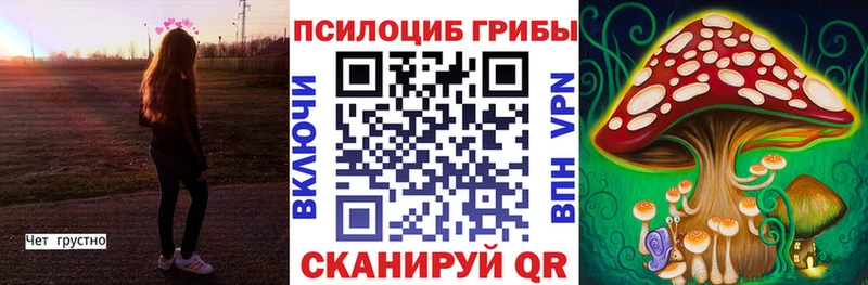 Галлюциногенные грибы Psilocybe  Пролетарск 